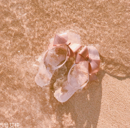 melissa是什么檔次？星光熠熠的小香鞋