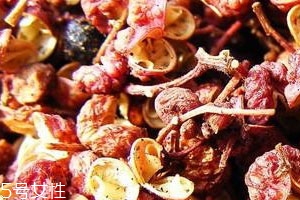 花椒長蟲怎么處理 殺蟲是關(guān)鍵 花椒長蟲怎么處理 殺蟲是關(guān)鍵