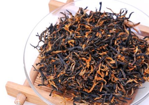 金駿眉黑芽好還是黃芽好 黃芽賣相更有優(yōu)勢 金駿眉黑芽好還是黃芽好 黃芽賣相更有優(yōu)勢