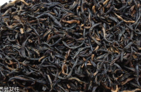 金駿眉黑芽好還是黃芽好 黃芽賣相更有優(yōu)勢 金駿眉黑芽好還是黃芽好 黃芽賣相更有優(yōu)勢