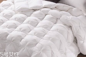 羽絨被可以曬嗎？羽絨被知識大全