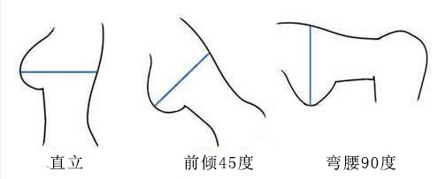 胸型有哪幾種圖解 對應內衣怎么選擇 胸型有哪幾種圖解 對應內衣怎么選擇