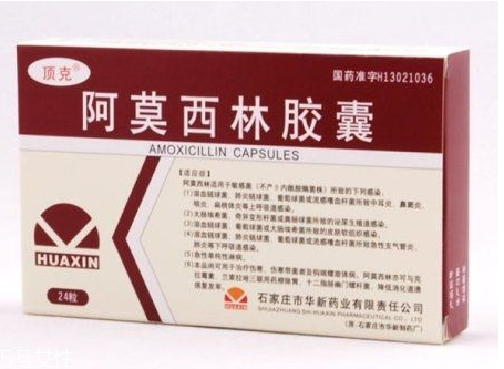 阿莫西林會(huì)影響月經(jīng)嗎？阿莫西林跟月經(jīng)無關(guān)聯(lián)