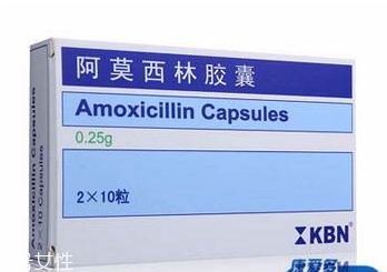 阿莫西林好還是羅紅霉素好？適合的才是最好的