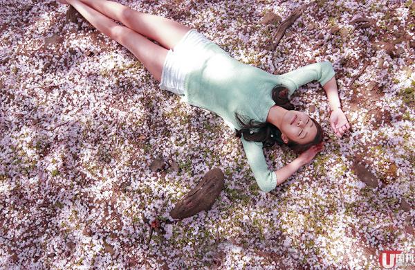 2018年12星座運勢詳解 整體運程分析 2018年12星座運勢詳解 整體運程分析