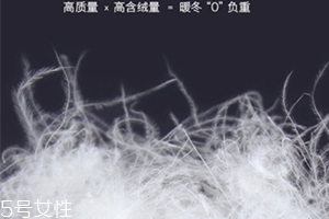 lets diet羽絨褲多少錢？lets diet羽絨褲保暖又修身