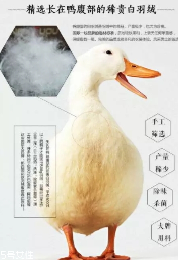 lets diet羽絨褲多少錢？lets diet羽絨褲保暖又修身