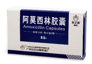 阿莫西林可以和牛奶一起吃嗎？牛奶和阿莫西林不沖突