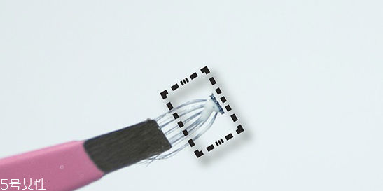 怎么使用單簇假睫毛？睫毛膏和假睫毛的區(qū)別