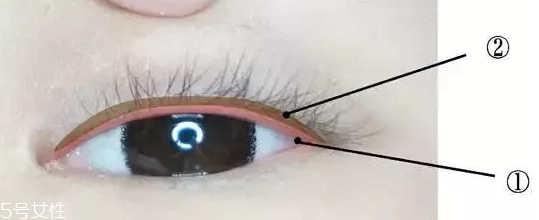 內(nèi)眼線一定要畫嗎？畫好睫毛根部