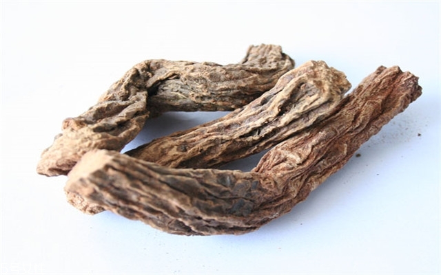 鎖陽可以長期泡水喝嗎 需適量 鎖陽可以長期泡水喝嗎 需適量