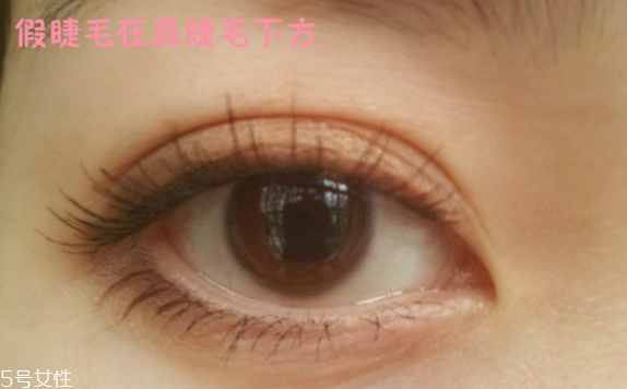 假睫毛是一次性的嗎？假睫毛可以重復(fù)使用