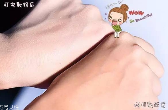 紀(jì)梵希散粉和悅詩風(fēng)吟散粉哪個(gè)好？