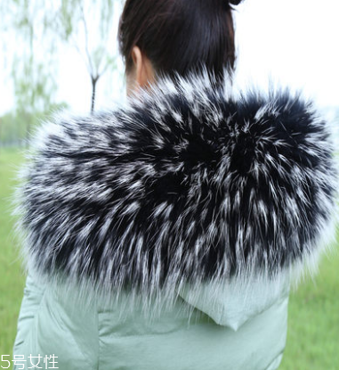 大毛領(lǐng)怎么打理？大毛領(lǐng)帶你度過溫暖冬季