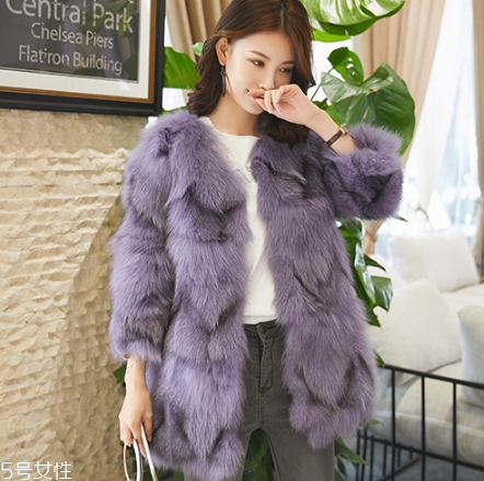 皮草的毛亂了怎么辦？巧用吹風(fēng)機(jī)輕松解決