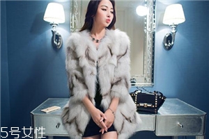 皮草是順毛好還是倒毛好？這樣挑選不會錯