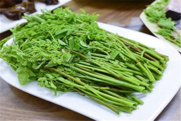 超級食物是什么以及功效 超級食物是什么以及功效