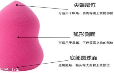 立體化妝粉撲有哪些用途？小身材大功效