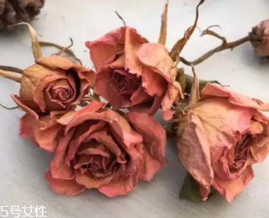 2018開(kāi)年大火干枯玫瑰色妝容教程 2018開(kāi)年大火干枯玫瑰色妝容教程