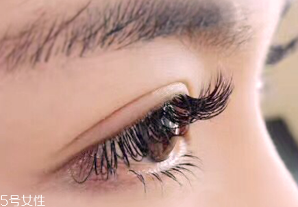 睫毛老是掉是怎么回事？睫毛剪了不會變長