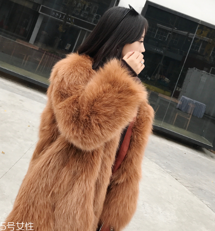 皮草和貂哪個(gè)貴？它們的價(jià)值你清楚嗎