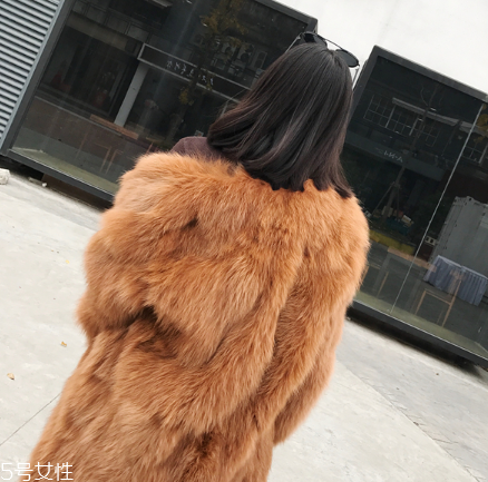 皮草和貂哪個(gè)貴？它們的價(jià)值你清楚嗎