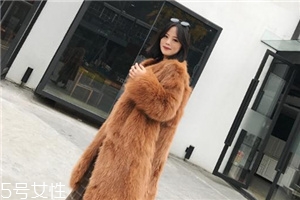 皮草和貂哪個(gè)貴？它們的價(jià)值你清楚嗎