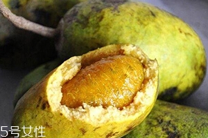 牛卵坨孕婦可以吃嗎？看屬于什么懷孕階段