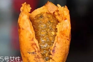 牛卵坨籽可以吃嗎？看看它的神奇功效