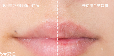 蘭芝唇膜小孩能用嗎？蘭芝唇膜正確使用方法