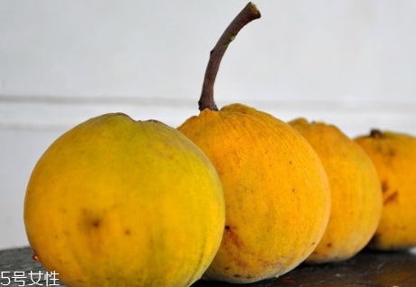 山陀兒怎么吃？山陀兒的營養(yǎng)功效