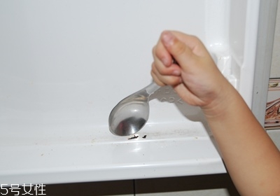 冰箱怎么放置東西合理 冰箱終極清理術(shù) 冰箱怎么放置東西合理 冰箱終極清理術(shù)