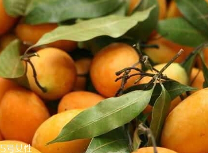 枇杷芒怎么吃？枇杷芒的皮可以吃