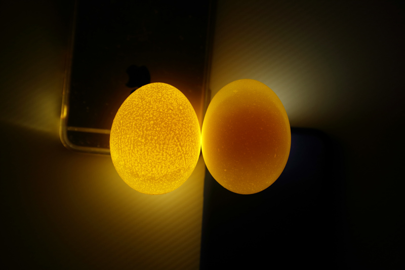 怎樣辨別雞蛋是否新鮮 6招就能判斷 怎樣辨別雞蛋是否新鮮 6招就能判斷