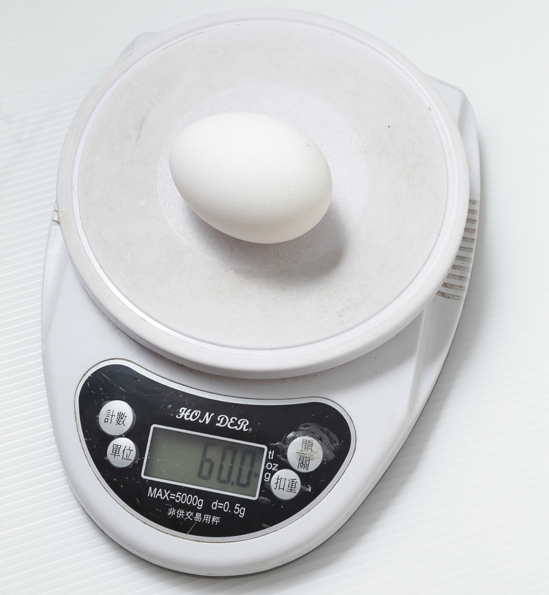 怎樣辨別雞蛋是否新鮮 6招就能判斷 怎樣辨別雞蛋是否新鮮 6招就能判斷