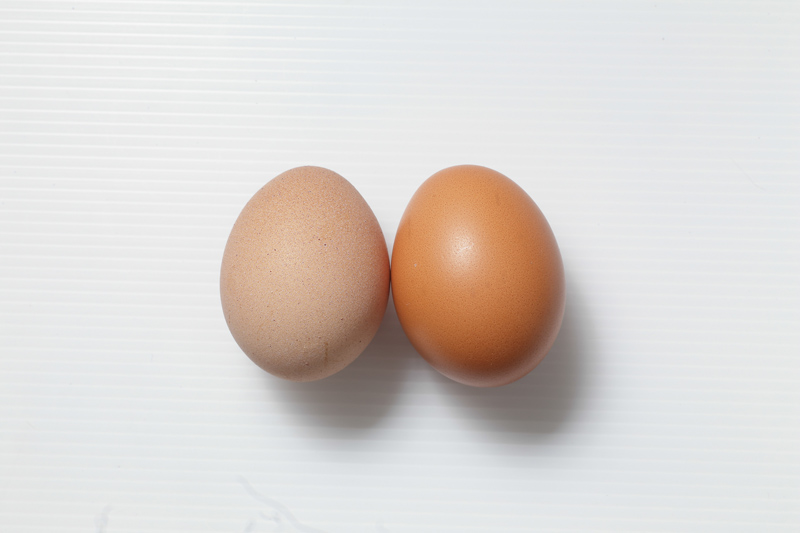 怎樣辨別雞蛋是否新鮮 6招就能判斷 怎樣辨別雞蛋是否新鮮 6招就能判斷