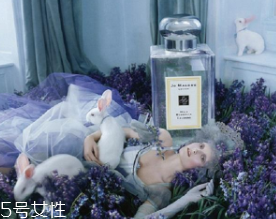 女士香水什么牌子好？6款入門級香水推薦