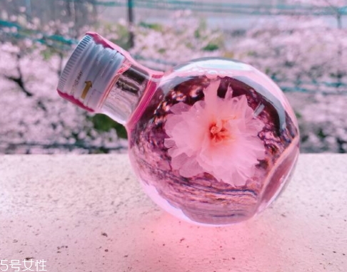 奈良金箔櫻花酒多少錢？奈良櫻花酒好喝嗎