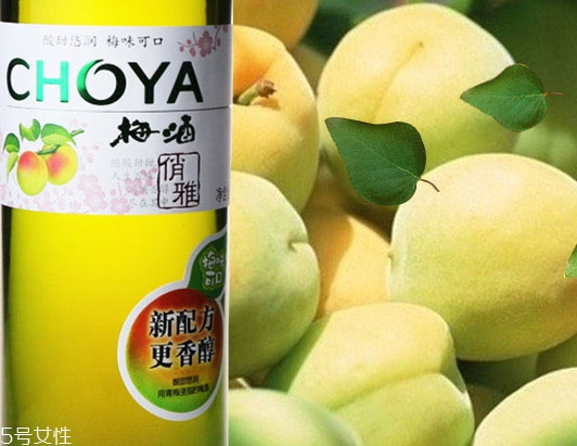 choya梅酒多少錢？多少度？