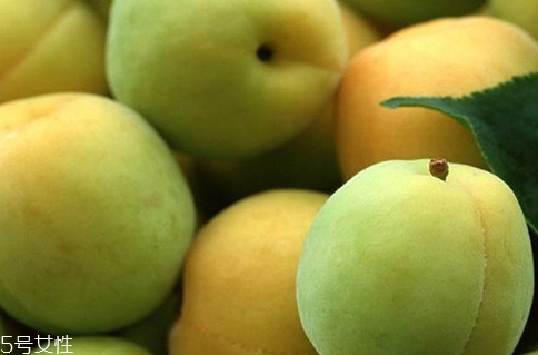 choya梅酒多少錢？多少度？