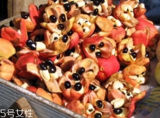 阿基果是什么水果？阿基果功效作用