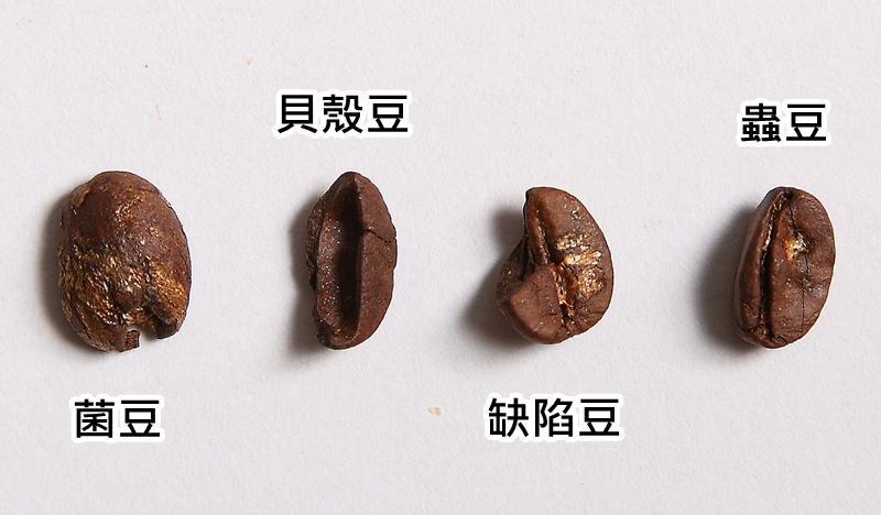 咖啡豆怎么挑選 選好保存更重要 咖啡豆怎么挑選 選好保存更重要