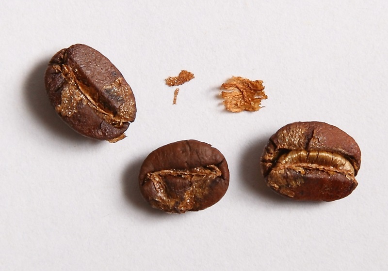 咖啡豆怎么挑選 選好保存更重要 咖啡豆怎么挑選 選好保存更重要