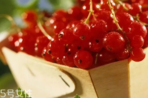 醋栗什么味道好吃嗎？酸甜可口惹人愛(ài)