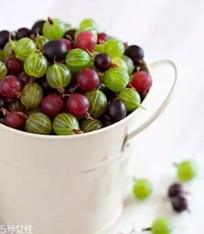 醋栗什么味道好吃嗎？酸甜可口惹人愛(ài)