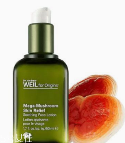 油皮用什么精華好？清爽補(bǔ)水一個(gè)都不能少