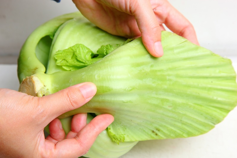 小芥菜和大芥菜的區(qū)別 芥菜種類有多種 小芥菜和大芥菜的區(qū)別 芥菜種類有多種