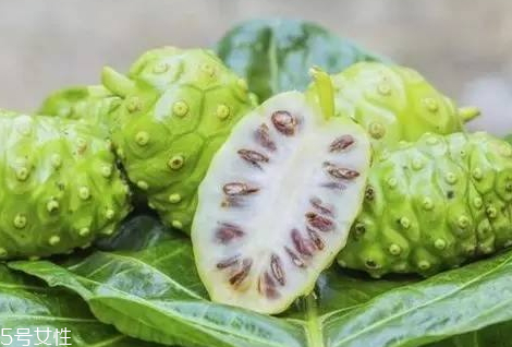 海巴戟的功效與作用 素有仙果的美稱 海巴戟的功效與作用 素有仙果的美稱