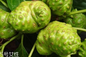 海巴戟的功效與作用 素有仙果的美稱 海巴戟的功效與作用 素有仙果的美稱