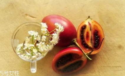 樹番茄多少錢一斤？